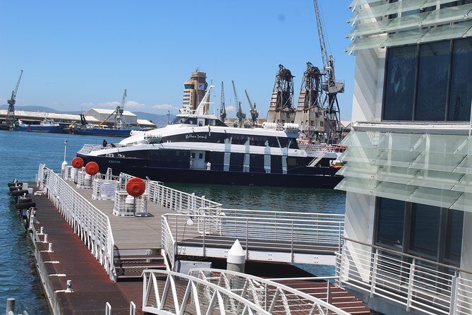Nelson Mandela's Robben Island Prison Museum Cape Town City Tour + Ferry Tickets - Who Would Enjoy This Tour?