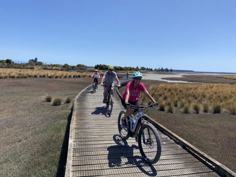 Nelson: Self-Guided Tunnel to Town Cycling Tour via Mapua - The Real Experience From Reviews