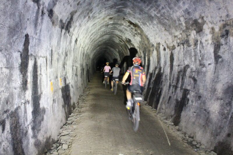 Nelson: Self-Guided Tunnel to Town Cycling Tour via Mapua - The Sum Up