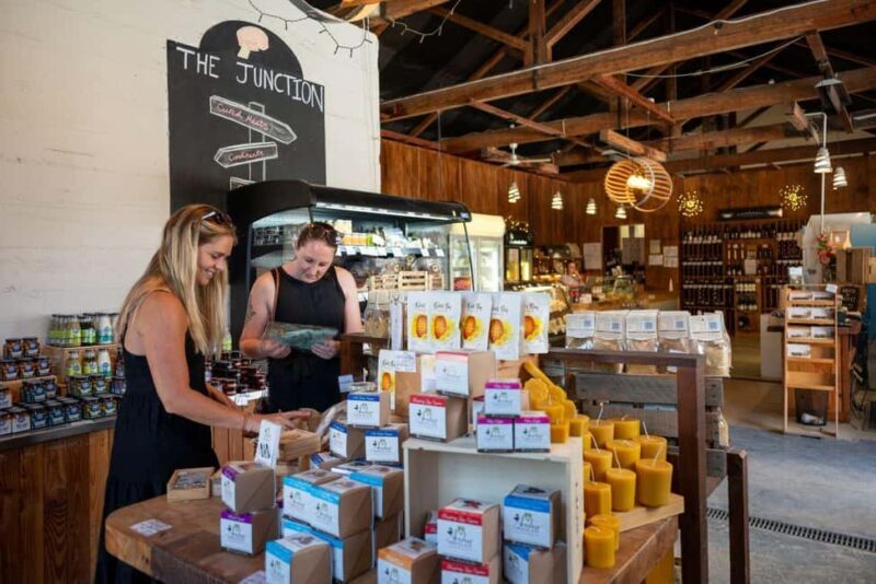 Nelson: Taste Tasman Food & Wine Tour with Lunch & Tastings - Key Points