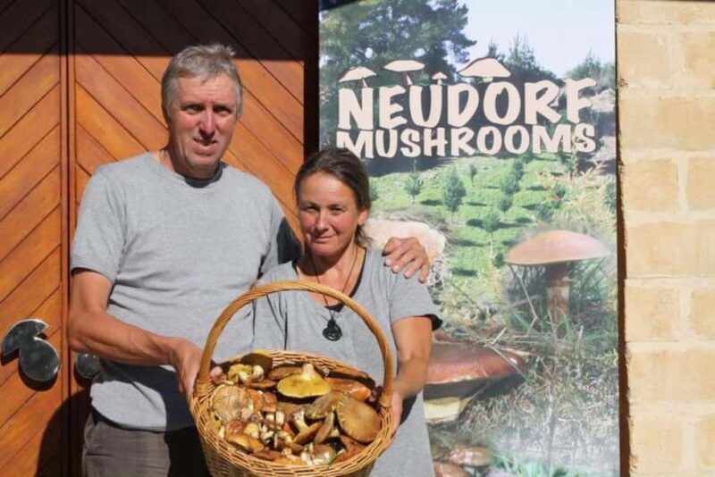 Nelson: Taste Tasman Food & Wine Tour with Lunch & Tastings - Who Will Love This Experience?