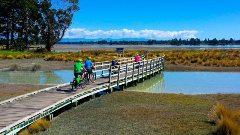 Nelson to Mapua: Full-Day Cycling Self-Guided Adventure - Authentic Experiences and Review Highlights