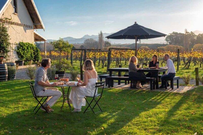 Nelson: Wine and Art Tour with Tastings and Lunch - Key Points