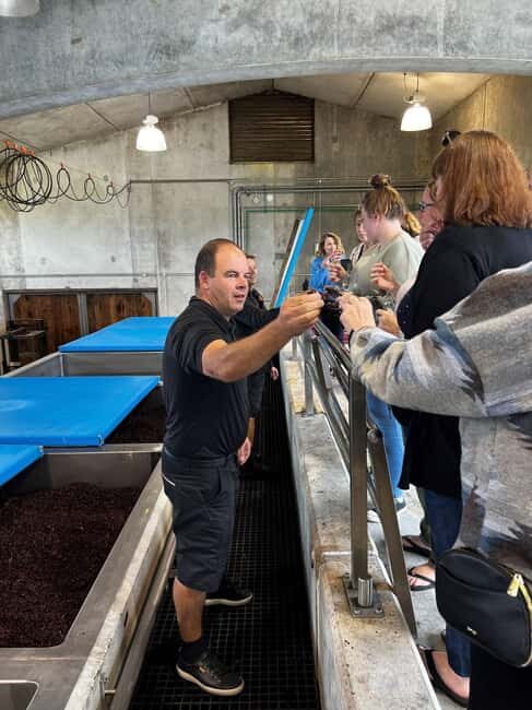 Nelson: Wine Tour with Tastings and Lunch - Frequently Asked Questions