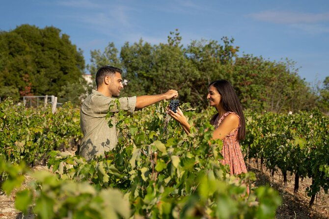 nemea-wine-roads-the-most-famous-wine-tour-in-greece