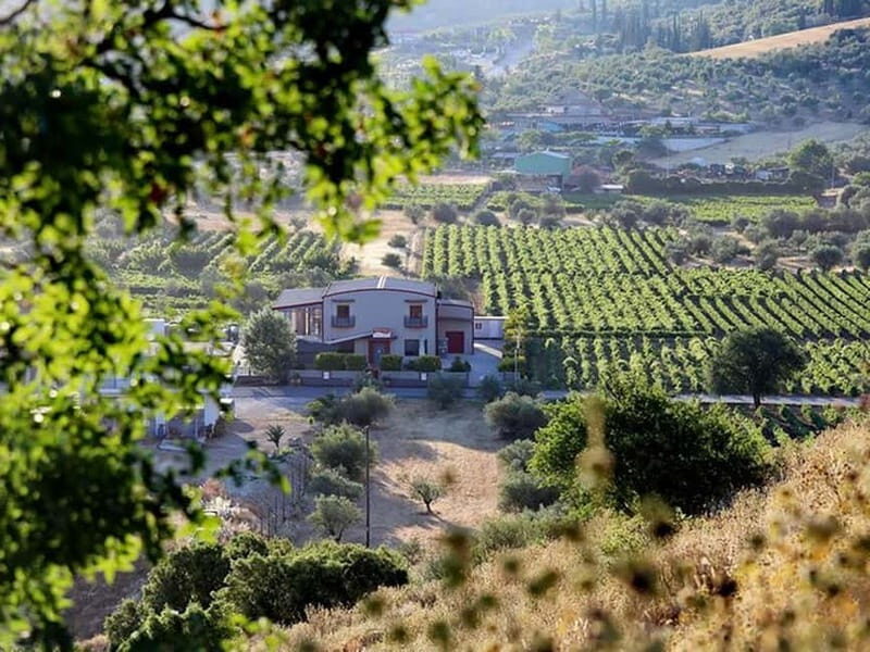 Nemea: Wine Tasting Tour with Local Dishes - Who Will Love This Tour?