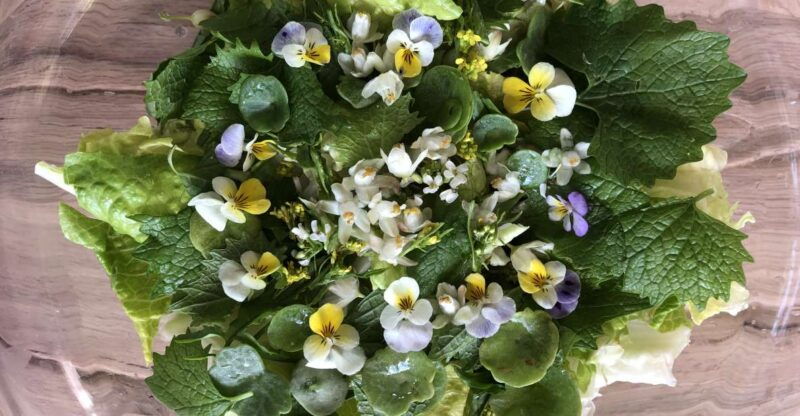 nemi-herb-harvesting-and-cooking-class-experience