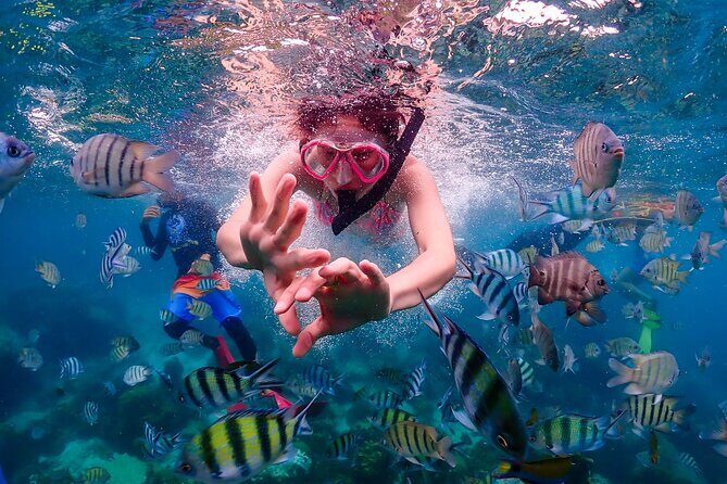 Nemo Island and Big Buddha Mountain Snorkeling from Bangkok - Final Verdict