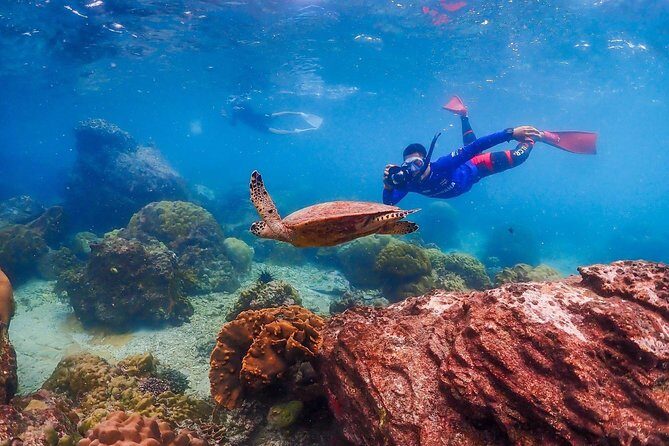 Nemo Island Experience with Drone Photos and Lunch - Practical Tips for Making the Most of Your Trip  