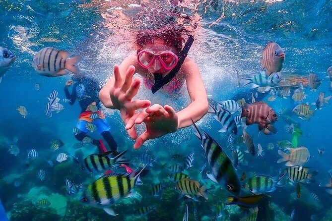 Nemo Island Experience with Drone Photos and Lunch - The Sum Up: Who Will Love This Trip?  