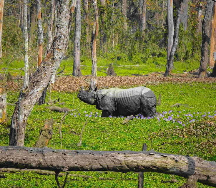 nepal-10-day-yoga-and-meditation-retreat-tour