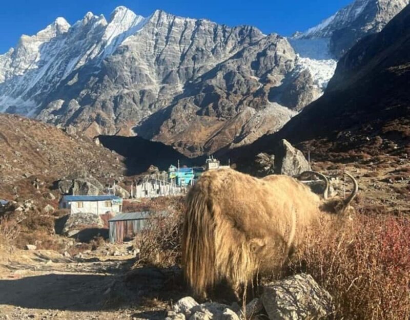 Nepal: 12 Days Yala Peak Beginner Climb with Safety Training - Who Is This Tour Best For?