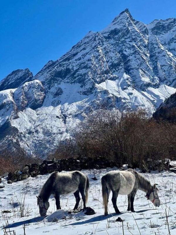 nepal-15-days-manaslu-circuit-trek