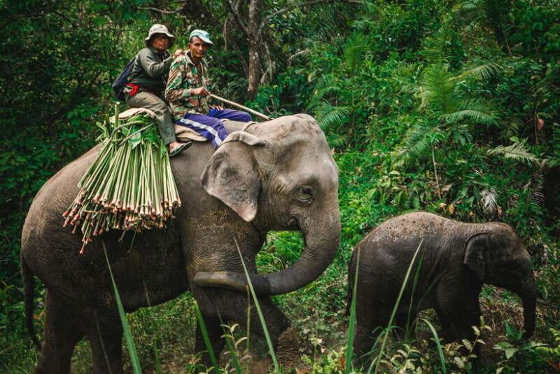nepal-and-bhutan-14-day-tour-with-flights