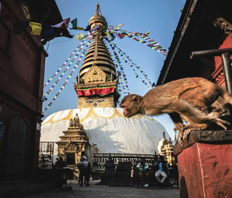 nepal-and-bhutan-14-day-tour-with-flights