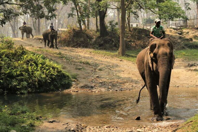 nepal-and-bhutan-14-day-tour-with-flights