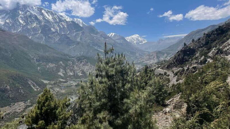 nepal-api-himal-trek-to-base-camp