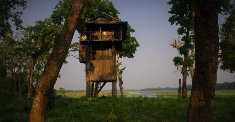 nepal-chitwan-national-park-3-day-jungle-tower-stay