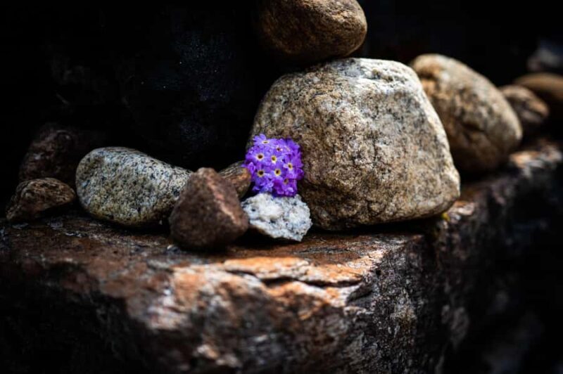 Nepal: Everest Base Camp Trek with Guide and Porter - Nepal: Everest Base Camp Trek with Guide and Porter — A Complete Guide