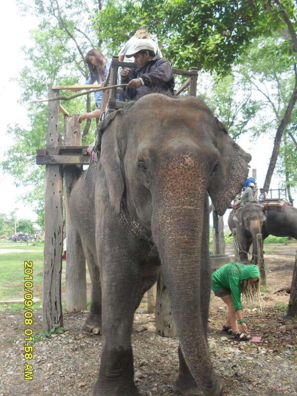 nepal-kathmandu-and-chitwan-national-park-tour