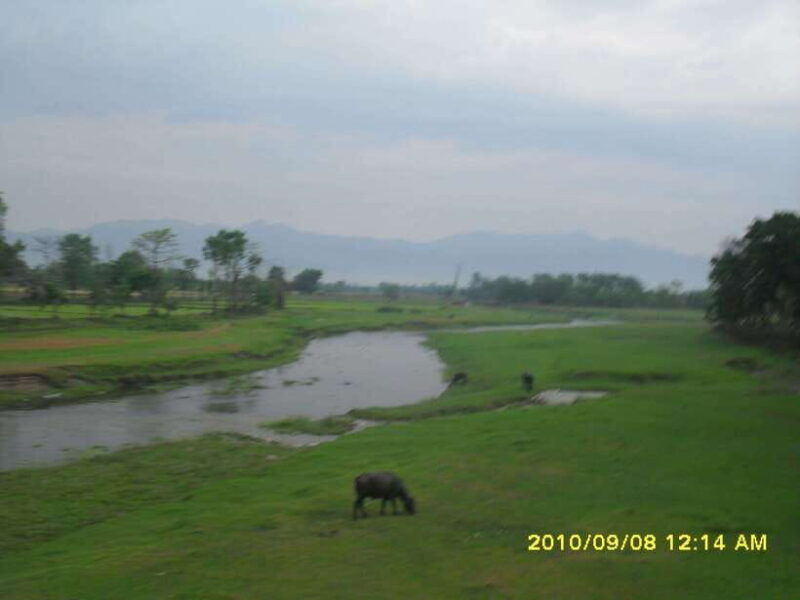 nepal-kathmandu-and-chitwan-national-park-tour