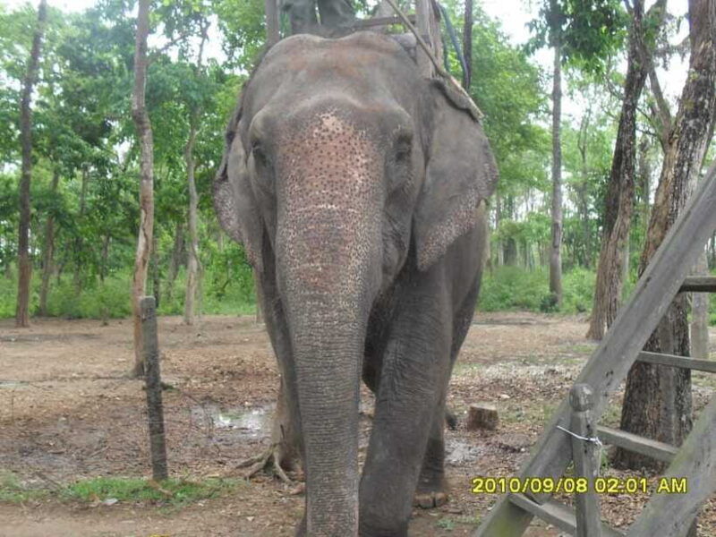 nepal-kathmandu-and-chitwan-national-park-tour