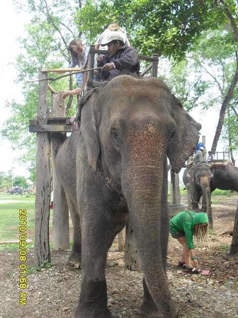 nepal-kathmandu-and-chitwan-national-park-tour