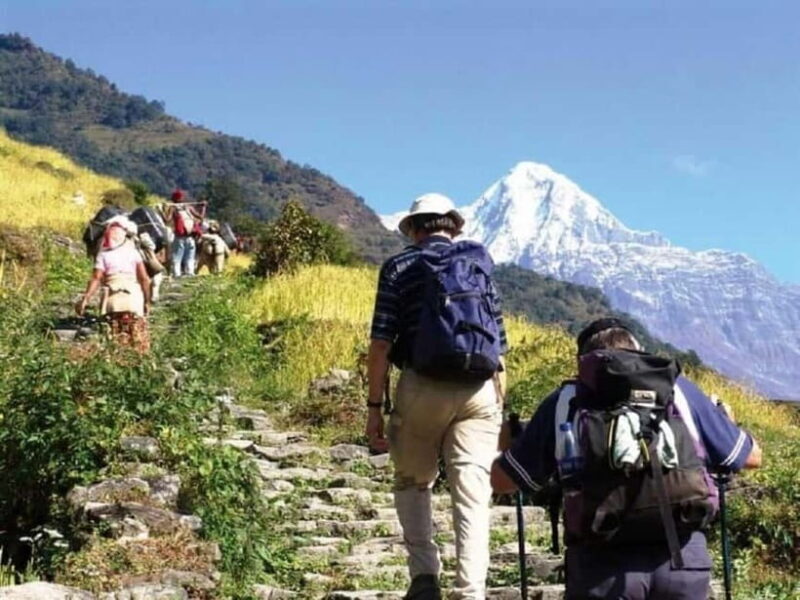 Nepal: Small Group 4-day Mardi Himal Trekking - What Makes This Trek Stand Out?