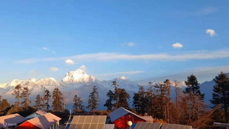 nepal-time-for-trekking-to-mohare-hill-poon-hill
