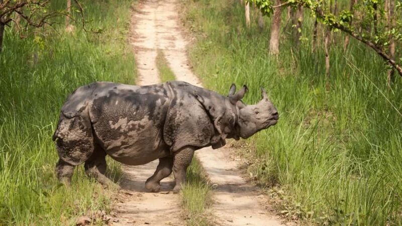 Nepal Tour: Kathmandu, Pokhara & Chitwan Park - Discovering Nepal in 8 Days: What to Expect