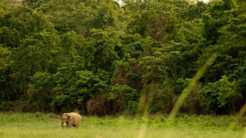 Nepal Tour: Kathmandu, Pokhara & Chitwan Park - FAQ