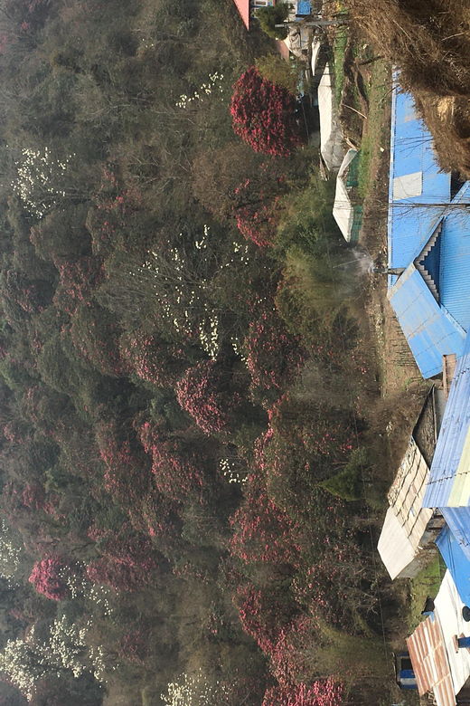 nepal-trekking-guide-with-20-years-of-experience