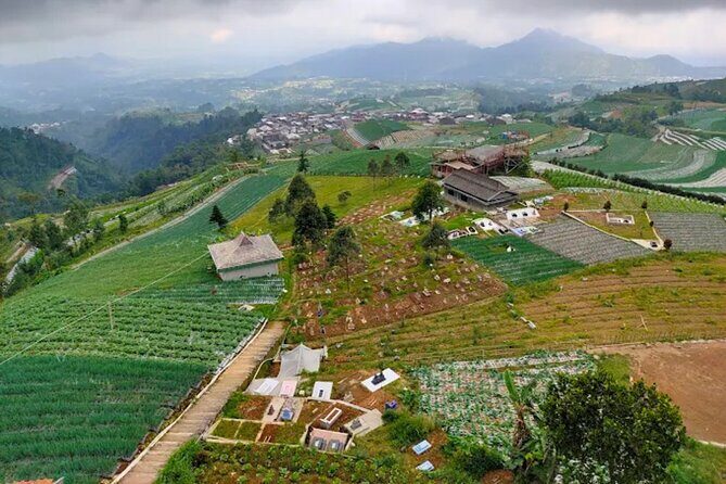 Nepal Van Java and Kedung Kayang Waterfall tour from Yogyakarta - Who Is This Tour Best For?