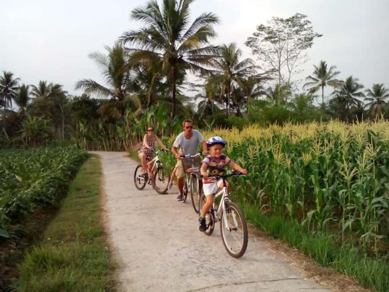 Nepal Van Java & Cycling Adventure around Borobudur Temple - Exploring the Nepal Van Java & Borobudur Cycling Adventure — A Complete Guide