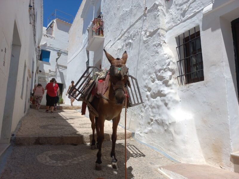 nerja-frigiliana-el-acebuchal-full-day-semi-private-tour