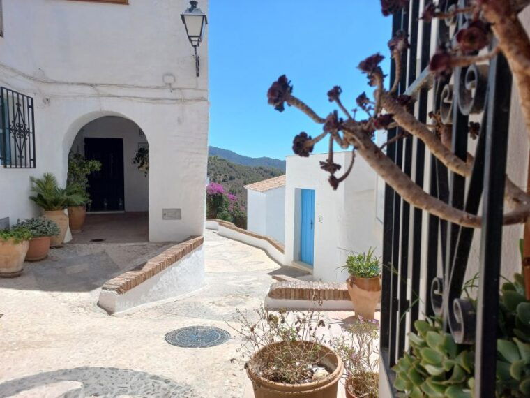 nerja-frigiliana-el-acebuchal-full-day-semi-private-tour