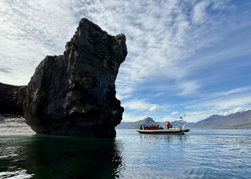Neskaupstaður: RIB Boat Tour with Drink - A Complete Look at the Neskaupstaður RIB Boat Tour