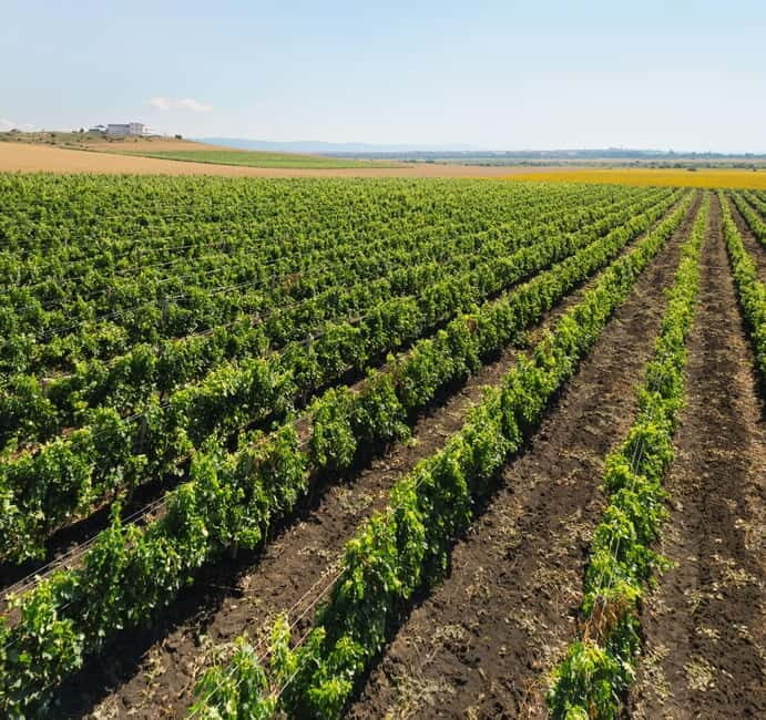 Nessebar: Guided Tour in English with Wine Tasting - FAQs