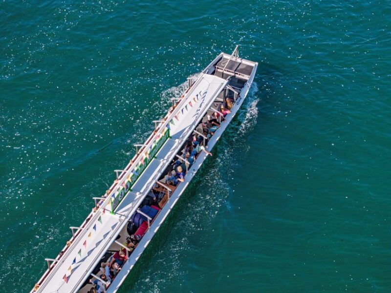 Neuhausen am Rheinfall: Rhine Falls Boat Tour - Key Points