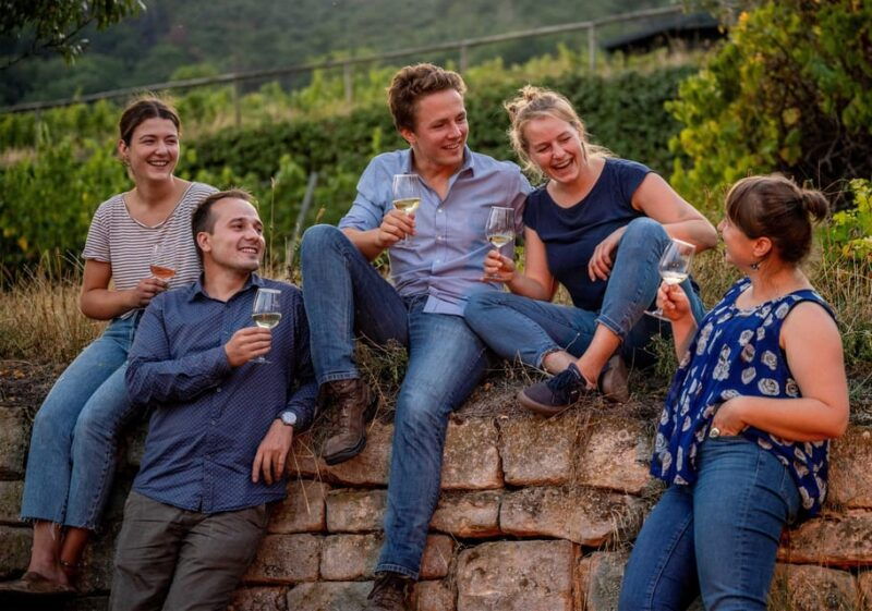 neustadt-wine-tasting-with-cellar-tour-and-vineyard-tour