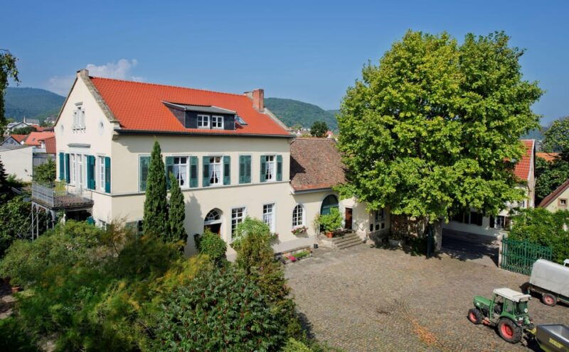 neustadt-wine-tasting-with-cellar-tour-and-vineyard-tour