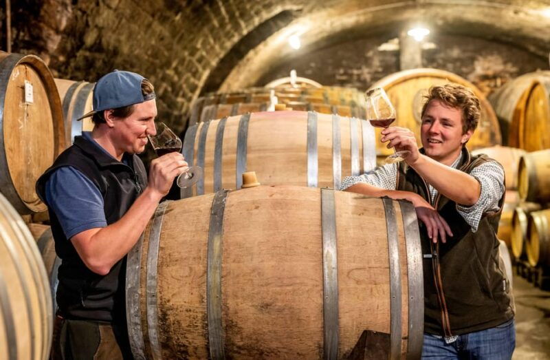 neustadt-wine-tasting-with-cellar-tour-and-vineyard-tour