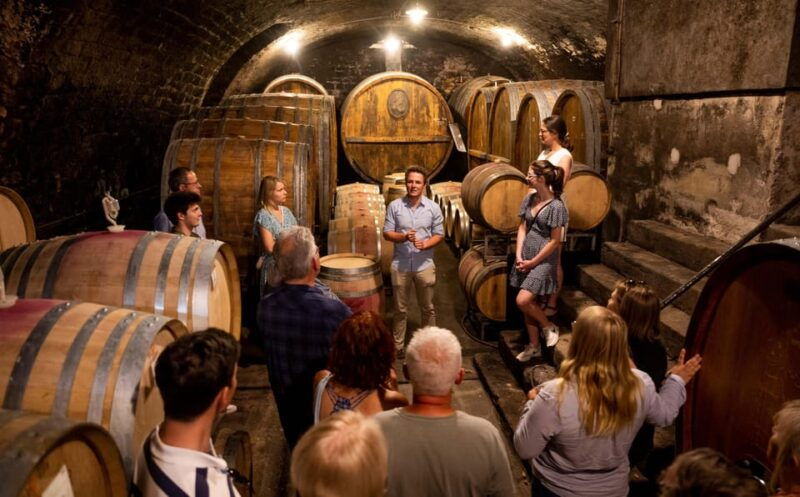 neustadt-wine-tasting-with-cellar-tour-and-vineyard-tour