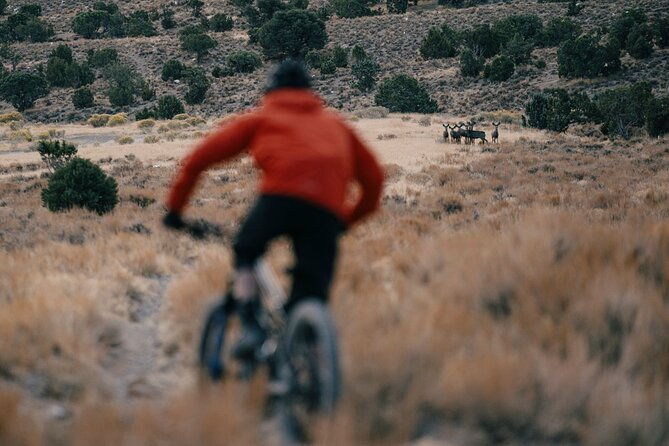 nevada-trails-to-rails-beginner-intermediate-bike-and-hike-tour