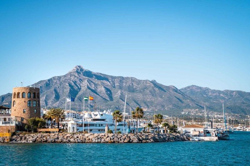 new-boat-trip-in-puerto-banus-with-friends-family-dolphins