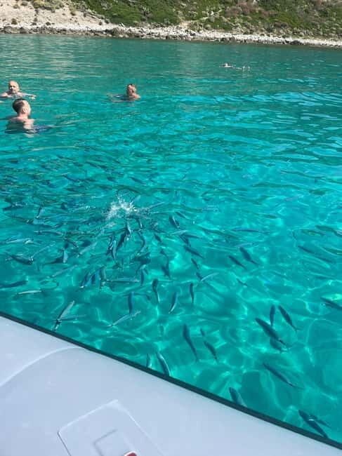 NEW Comfort Tour Costa degli Dei Numero Massimo 12 persone - Snorkeling and Marine Life