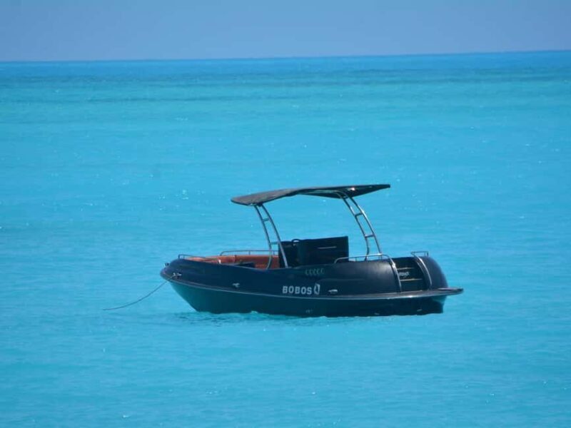 New El Alamein: Twister Towable Water Adventure - Key Points