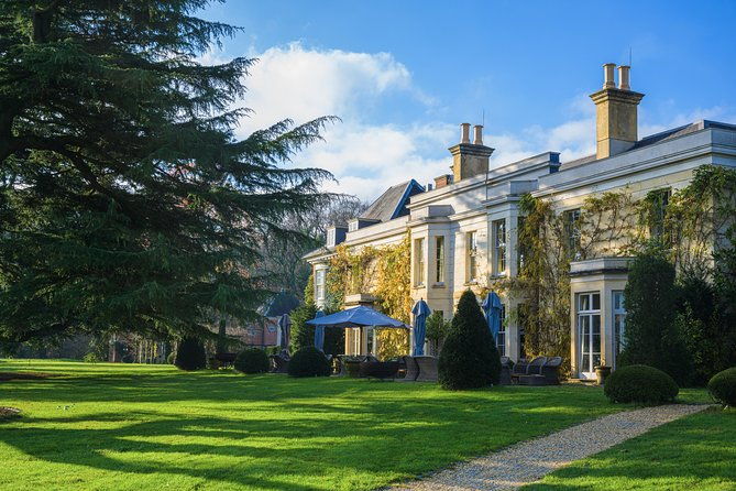 new-forest-day-out-private-tour-from-southampton
