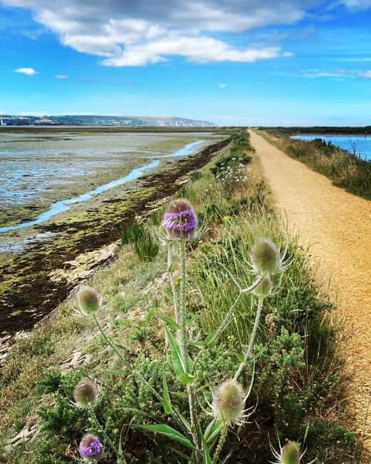 New Forest: E-Bike Pedal & Puzzle Escape Adventure - FAQs