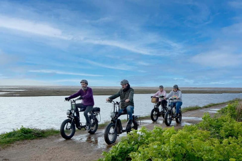 New Forest National Park: Full-Day E-Bike Rental - The Experience in Detail